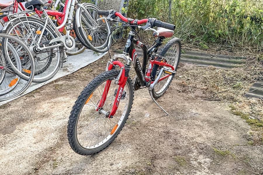 Kinder Mountainbike Trek King
